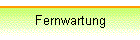 Fernwartung
